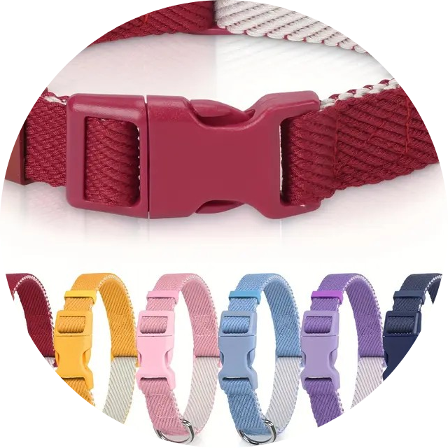 A pet collar, leash, and harness set laid flat on a clean light background.