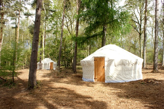 A spacious luxury tent with a cozy bed, warm lighting, wooden furniture, and outdoor scenery visible through the mesh windows.