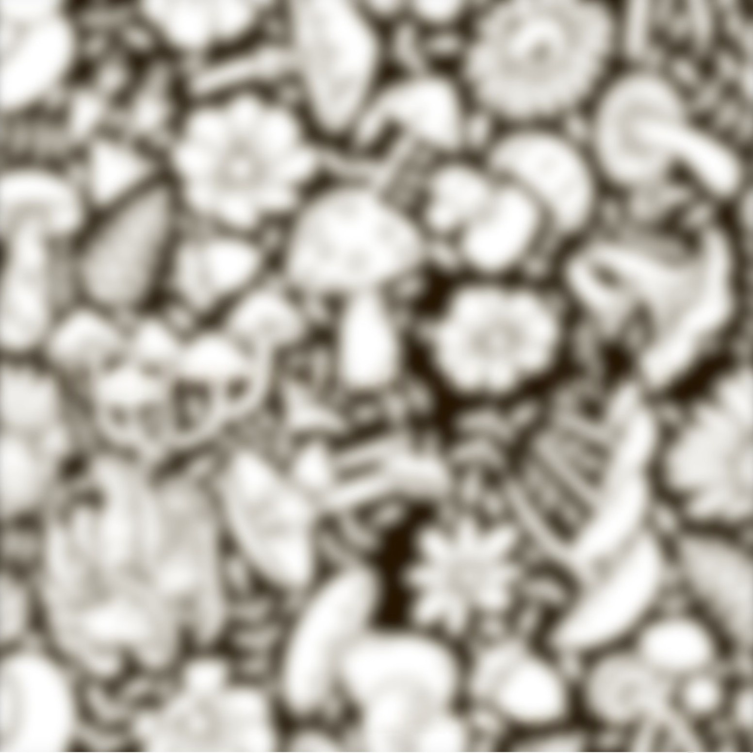 1e78112a-ca4c-4f71-8d71-d4c4f50ab21b_water.jpeg