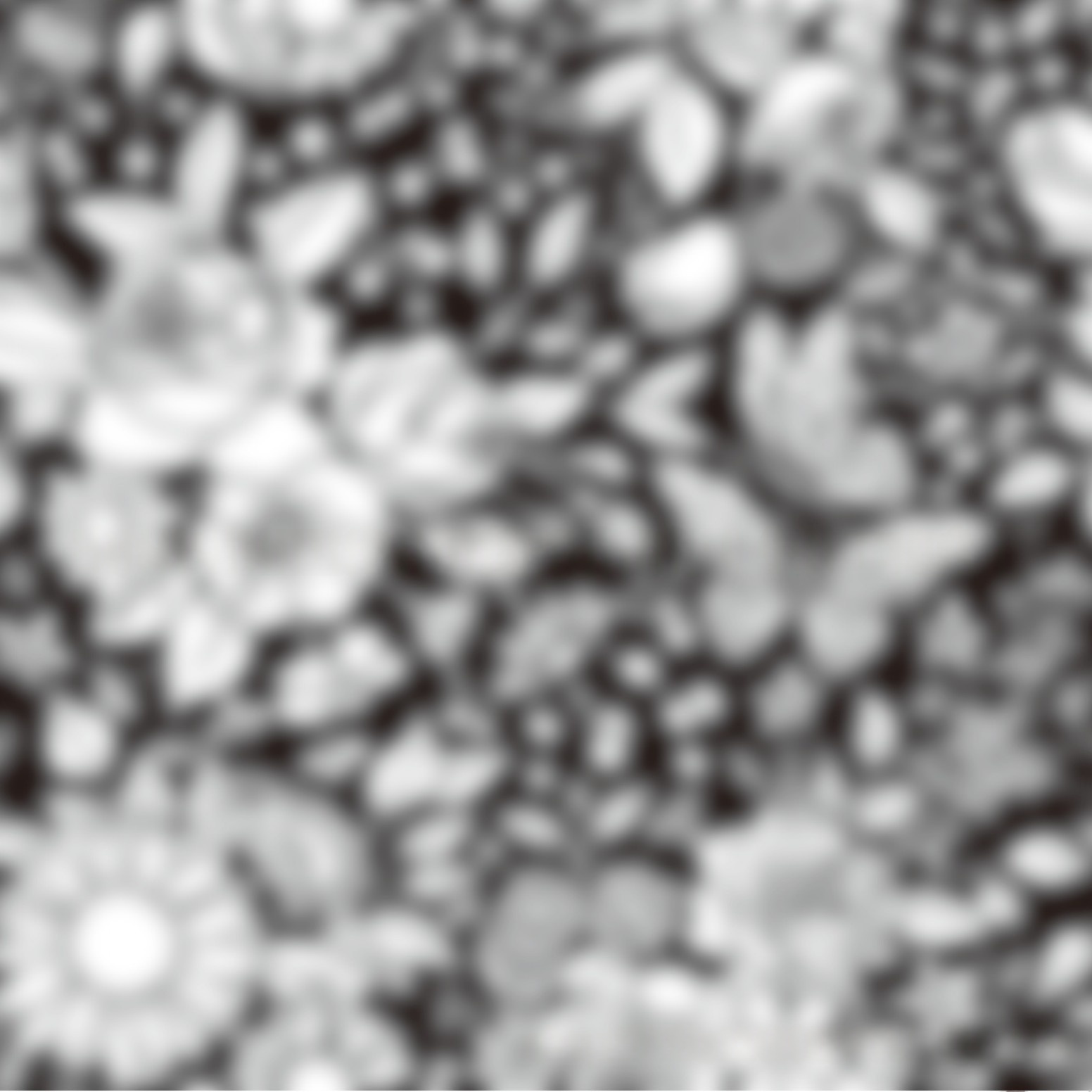 7aa546fe-c4cd-4dd7-bf43-a5638022c7c3_water.jpeg